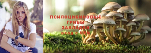 спайс Инта
