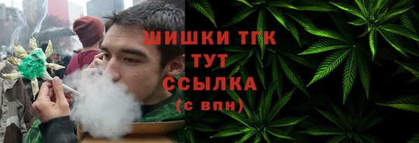 PSILOCYBIN Зеленодольск