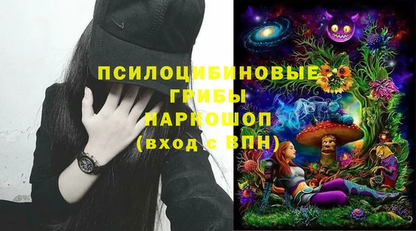 спайс Инта