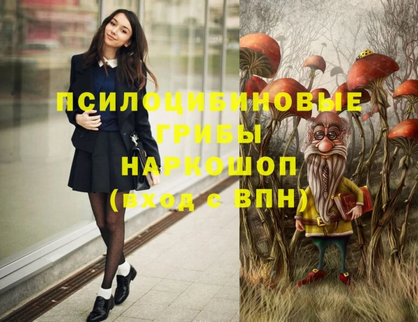 PSILOCYBIN Зеленодольск
