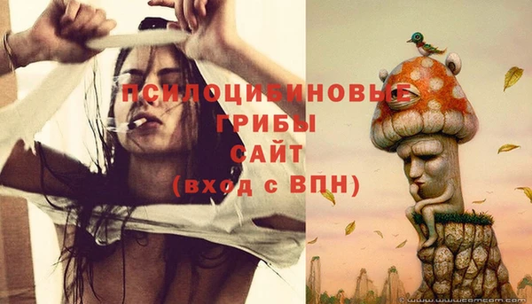 PSILOCYBIN Зеленодольск