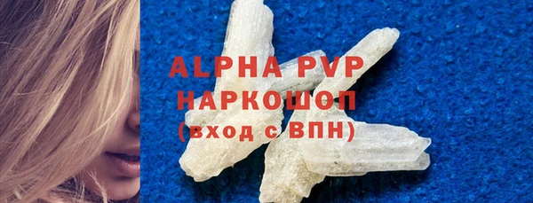 СК Инсар
