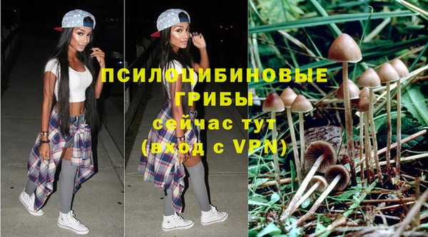 спайс Инта