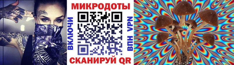 Псилоцибиновые грибы MAGIC MUSHROOMS  Купить закладки  Добрянка 
